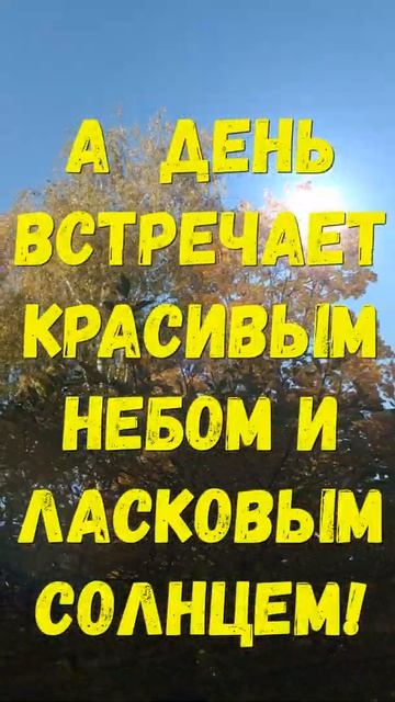 Утро доброе пришло!#shorts