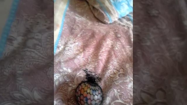 Игрушка и браслет светящийся смотреть онлайн