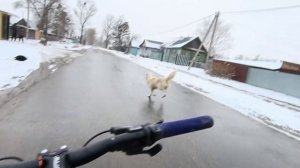 "СТАНТ" ПОКАТУШКА | СТАНТ ПО СНЕГУ