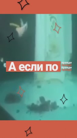 В ИНДИЙСКОМ ОКЕАНЕ НАШЛИ СТАТУЮ БОГОРОДИЦЫ? | Разбор теории #мифы
