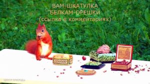 МЫ СПЕШИМ