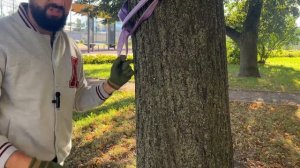 Sling Chain KSS-MACHINE. Как крепить блок ролик на дереве?