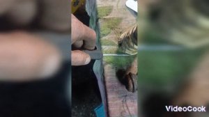 Шкода Фабия, замена задних амортизаторов.