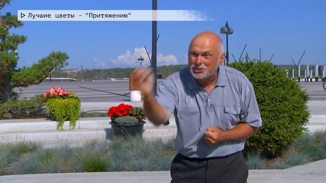 Время местное. Эфир: 04-08-2023- Лучшие цветы "Притяжению" смотреть онлайн