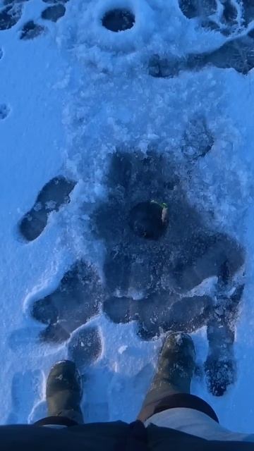 А у вас такое было? #рыбалка #зимняярыбалка #shorts смотреть онлайн