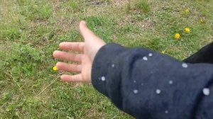 ATOM AND REACTOR 33 (RECORDING 1)