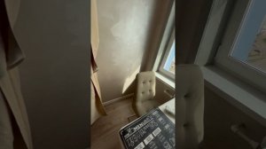 Студия