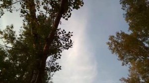 "Ecuador Indians". Индейцы из Эквадора, Перу. Фестиваль Мир Сибири в Шушенском. 2018г.