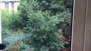 Распаковка реборна!/Reborn baby box opening