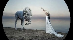 Песня: Юрмала, группа Цветы.