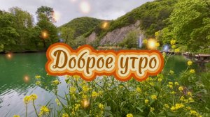 Доброе летнее утро, мир ожил вновь, дышу свободно, в душе любовь. Песня с добрым утром