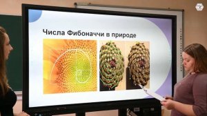 Студенты МелГУ разгадывают тайну числа Фибоначчи
