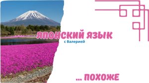 Японский язык: грамматика N4 Похоже | みたい、らしい разница