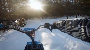 Тест-драйв мотоснегоката #draxter extreme 20 л.с. в густом лесу