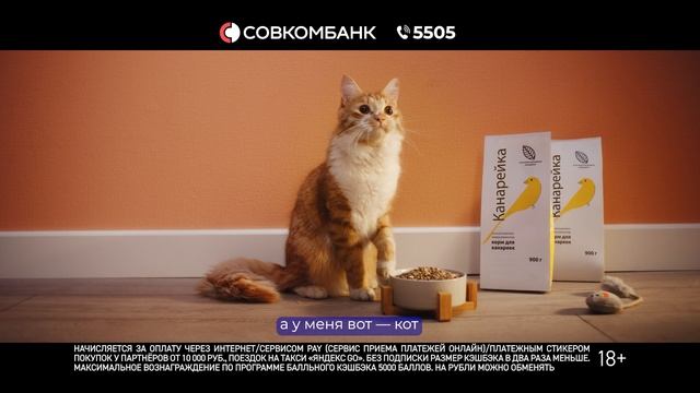 Кэшбэк до 10 во всех категориях по бесплатной дебетовой карте Совкомбанка