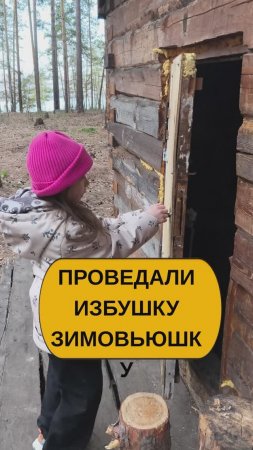 Избушка-зимовьюшка