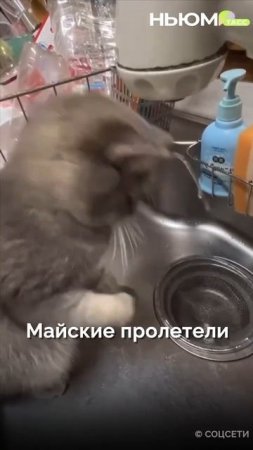 Карточка видео