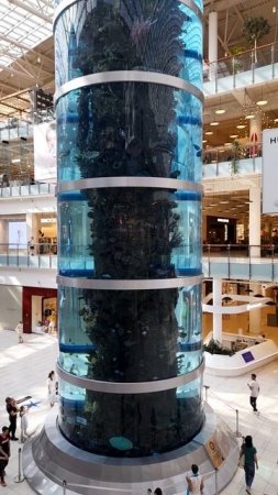 авиапарк аквариум Москва июнь 2023 года