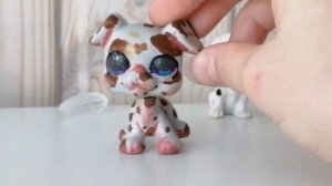 lps:мои новые ооаки!//