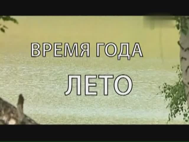 Время года - лето