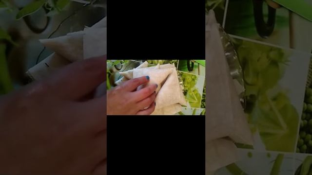 Готовлю треугольники с лаваша с колбасой и сыром. смотреть онлайн