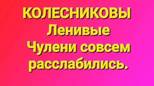 Колесниковы/Обзор.