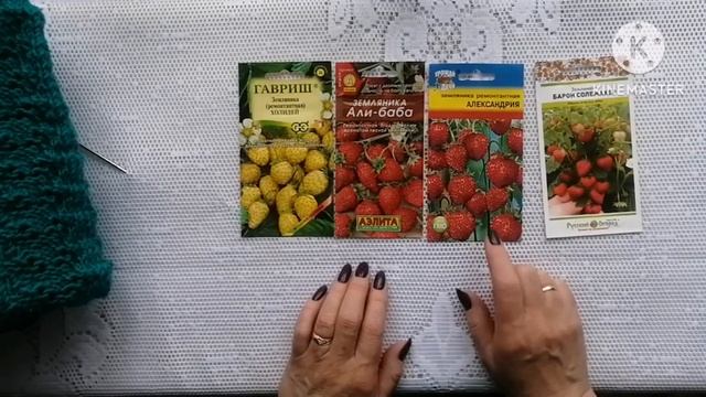 Жилет, земляничка смотреть онлайн