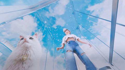 inZOI, Малый видео обзор