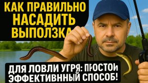Как правильно насадить выползка для ловли угря: простой и эффективный способ!