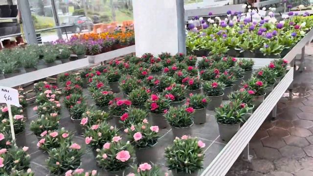 Приехали в Лиенц в цветочный магазин . Тироль . Австрия смотреть онлайн