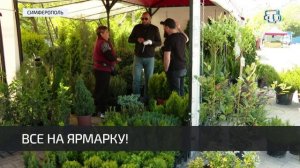 Ярмарка саженцев, цветов и рассады переехала на ул. Механизаторов 51