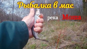 Рыбалка в мае р. Моша