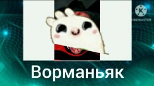 Куми куми + ШИЗА =