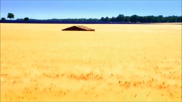 Пшеница и плевелы. Александра Луговских, Евгения Бекн? смотреть онлайн