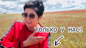 20.05.25 Черноморское! Утреннее море и Маковое поле. Супер закуска из баклажан