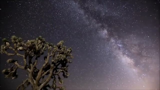 Жень,поздравляю! смотреть онлайн