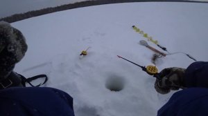 Рыбалка на мотобуксировщике вдвоем!