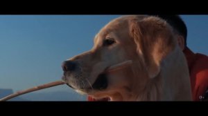 Премьера клипа ! MONA - В твоих глазах (Official Music Video)