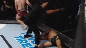 UFC 314: Чендлер vs Пимблетт – бой, который изменит дивизи?