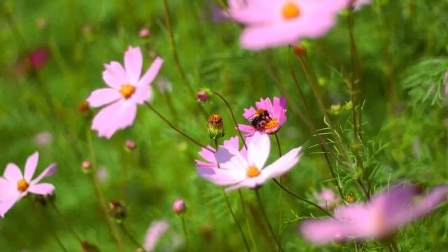 Свекровь и муж придумали хитрый план! Они хотели купит