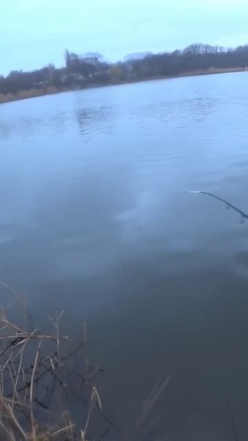 Вечерний окунь #рыбалка #fishing #джиг #shorts смотреть онлайн