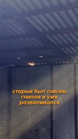 👍Эдвард Бил помог приюту для собак!