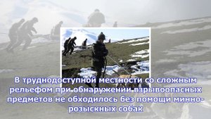 Саперы юво завершили разминирование полигонов в чечне