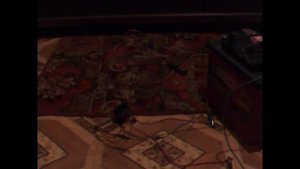 Как Проверить Реле Дворников от Ваз 2108 до 2115 В Домашни?