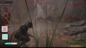 Assassin's creed Shadows # 4