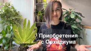 Чекупила на Орхидиуме