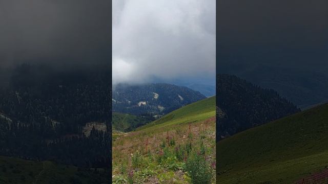 Последний уровень канатки "Роза Хутор,  ПИК" смотреть онлайн