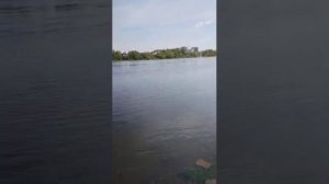 Баланс труда и отдыха.mp4