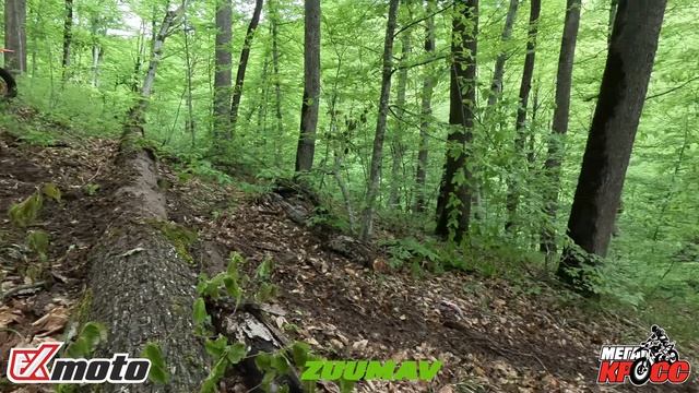 МЕГАКРОСС ПРОХВАТ 26.04.2025 с Николаем Новопашиным