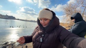 DJI OSMO POCKET 3 или IPHONE 16 PRO? тестируем камеры //